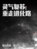 终极进化路